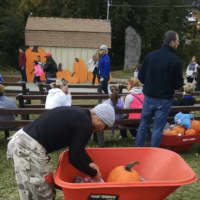 <p>One smart shopper brought his own wheelbarrow to bring home his pumpkins last season at Jones Family Farms.</p>