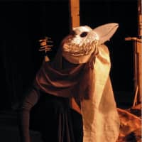 <p>Bird Mask &amp; Puppet by Justin Perlman and Performed by Adelka Polak in &quot;Branches,&quot; which premiered at the Sandglass Theater in Vermont in 2013.</p>