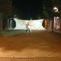 <p>Adelka Polak performs at LAMP (Light Artists Making Places) in New Haven, which utilizes video projection of natural forms with live music and shadow dance performance.</p>