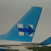 <p>The campaign logo “H” appears on the tail of the 737.</p>