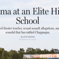 <p>The New York Magazine story on the sex assault allegations against a former teacher at Horace Greeley High School in Chappaqua.</p>