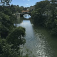 <p>The area of Norwalk River where a man was reported missing after a fight early Friday.</p>