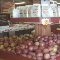 <p>Apples for sale at Blue Jay Orchards</p>