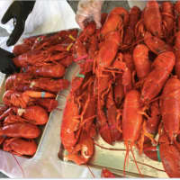 <p>Lots of lobster was served.</p>