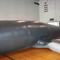 <p>an inflatable life-sized humpback whale that children can play in was one of the features of the new Maritime Odyssey Preschool in Norwalk</p>