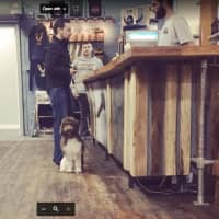 <p>Author and travel writer Erik Ofgang of New Fairfield visiting Banded Horn Brewing Company in Biddeford, Maine, to get information for his recently published book &quot;Buzzed: Beers, Booze &amp; Coffee Brews.&quot;</p>