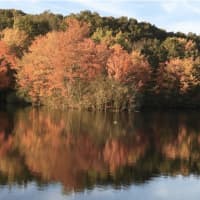 <p>The beauty of southern Connecticut in the fall</p>