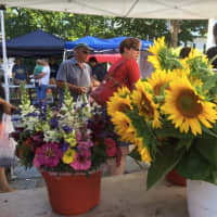 <p>Flowers at the Farmer&#x27;s Market at the First Congregational Church  in Norwalk</p>