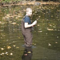 <p>James Dauber, 12, wades into the Pequonnock River at Beardsley Park to capture a trout release on video.</p>