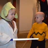 <p>Yoda and Charlie Brown, best buddies who met when they were seven months old at a playground, who both share the name William</p>