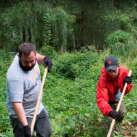 <p>Employees of REI, a specialty outdoor retailer and the nation’s largest consumer co-op, and Westchester Parks Foundation worked alongside volunteers for 4 ½ hours to remove more than 18 trucks of invasive plants at Tibbets Park in Yonkers.</p>