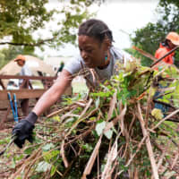 <p>Employees of REI, a specialty outdoor retailer and the nation’s largest consumer co-op, and Westchester Parks Foundation worked alongside volunteers for 4 ½ hours to remove more than 18 trucks of invasive plants at Tibbets Park in Yonkers.</p>