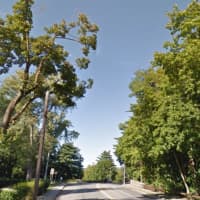 <p>A stolen car ended up in the backyard of a Bedford Road home near Manville Road in Pleasantville overnight. A pair of fleeing suspects was caught near Chappaqua Train Station about 7:30 a.m., five hours after the crash.</p>