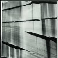 <p>Brett Weston often used subjects from nature, using well-honed techniques to alter perspective.</p>