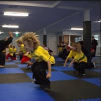 <p>Exercise in the kids&#x27; classes at Kempo Academy of Darien</p>