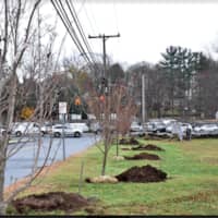 <p>The Tree Conservancy of Darien also completed its tree planting along Hecker Avenue and the Post Road in Darien.</p>
