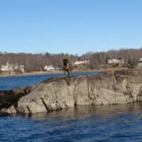 <p>A dog named Bear awaits rescue from a rock out in Scott&#x27;s Cove on Sunday.</p>