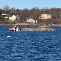 <p>The Noroton Fire Department&#x27;s marine unit rescues a dog named Bear from a rock out in Scott&#x27;s Cove.</p>