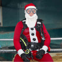 <p>David Schafran is the Santa volunteer diver at Maritime Aquarium&#x27;s Shark Diving Santa program in Norwalk.</p>