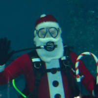 <p>Santa greeted about 40 children, along with their parents, at Maritime Aquarium’s “Ocean Beyond the Sound” exhibit recently.</p>