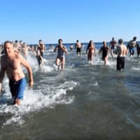 <p>Everyone has fun at the New Year&#x27;s Day Dip at Tod&#x27;s Point in Greenwich to benefit Kids In Crisis.</p>