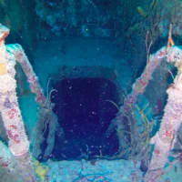 <p>Squalus Marine specializes in videos of sunken wrecks and marine life.</p>