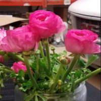 <p>A bouquet of tulips at Flowers By Whisconier in Brookfield</p>