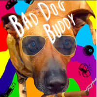 <p>Bad Dog Buddy album cover</p>