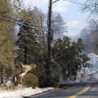 <p>Bardonia Road in Nanuet is closed for the remainder of the day after a large evergreen tree came down early Monday afternoon.</p>