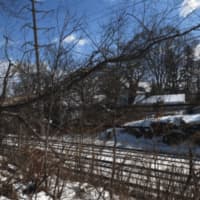 <p>A fallen tree is down on the Metro-North wires on Monday near 120 Hendrie Ave. in Old Greenwich. The problem closed one track and caused delays for much of the afternoon, but it has been cleared in time for afternoon rush hour.</p>
