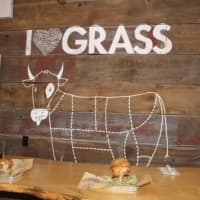 <p>A look inside the Bareburger located in Hartsdale.</p>
