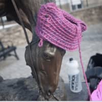 <p>A horse monument dressed in a crocheted hat.</p>