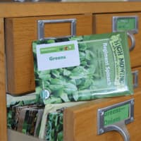 <p>Until supplies last or the planting season ends for each kind of seed, the Westport Library will be offering a free seed and exhange.</p>