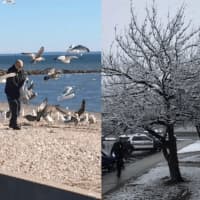 <p>The weather in the past week went from spring on Wednesday, at left, as a man feeds the birds at a beach in Stratford to winter, at right, where snow is beginning to accumulate outside the Stamford Police Headquarters on Friday.</p>
