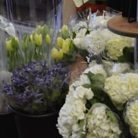 <p>CompoFarm Flowers In Darien and Westport sell tulips, ranunculus, peonies, and lilies from Holland.</p>