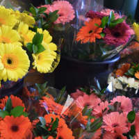 <p>A colorful array of flowers from Holland is available at CompoFarm Flowers in Darien and Westport.</p>