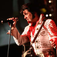 <p>Elvis and other celebrity impersonators will perform &quot;Stars In Concert&quot; at the Bridgeport Cabaret Theatre. The show is the longest-running in Germany at the Estrel hotel in Berlin.</p>