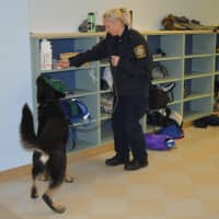 <p>Hamden Officer Kelley Groleau and Sar work to detect explosives in a K-9 trial at Staples High School Thursday.</p>