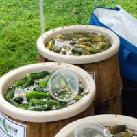 <p>Picklelicious will be one of the vendors at the Eastchester Farmers Market.</p>