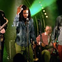 <p>Jamaica&#x27;s own Skatalites are among the headliners for Soupstock VIII in Shelton this June.</p>