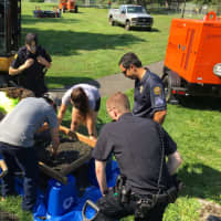 <p>Greenwich police investigators sift through dirt Thursday at Binney Park as the investigation continues into skeletal remains that were found there this past spring.</p>