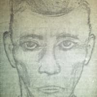 <p>A sketch of the suspect believed to have killed the Wingdale man.</p>