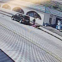 <p>Surveillance video of the woman driving a Honda taking the dog outside the car wash in Yonkers.</p>