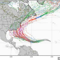 <p>The so-called &quot;Spaghetti model&quot; from the European Centre for Medium-Range Weather Forecasts shows Hurricane Irma taking a northerly path up the East Coast.</p>
