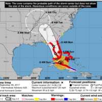 <p>Irma</p>