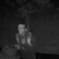 <p>The Stamford Police Department is seeking to identify a suspect in a burglary. This is the suspect whose face is not seen in the first photo.</p>