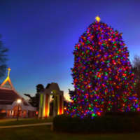 <p>The tree lighting at Fairfield University will be part of a Christmas Eve special to air nationally on CBS.</p>