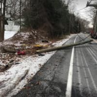 <p>A stretch of Route 202 could remain closed overnight after a car struck a tree, bringing down power lines in Montebello late Friday afternoon.</p>