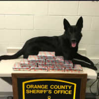 <p>A K-9 officer with the 10 kilos of cocaine seized.</p>