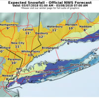 <p>The latest snowfall projections for Wednesday&#x27;s Nor&#x27;easter from the National Weather Service.</p>